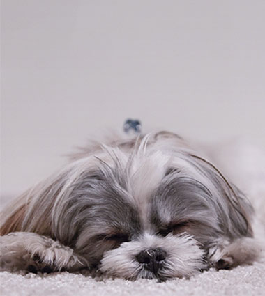 如何度過適應期？