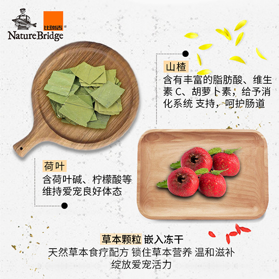 比瑞吉優選全價美國短毛貓成年期貓糧